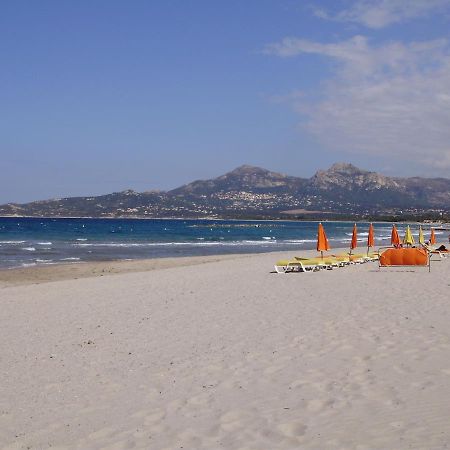 Appartement F1 Calvi A 150 Metres De La Plage Exteriör bild