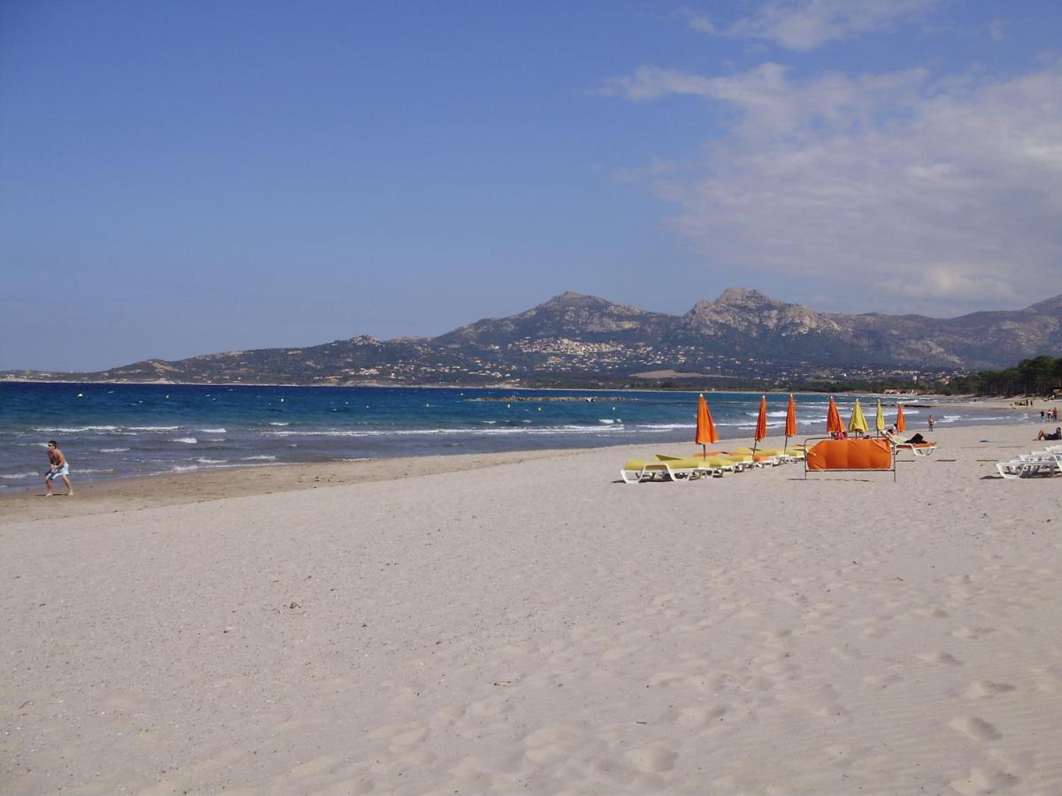 Appartement F1 Calvi A 150 Metres De La Plage Exteriör bild