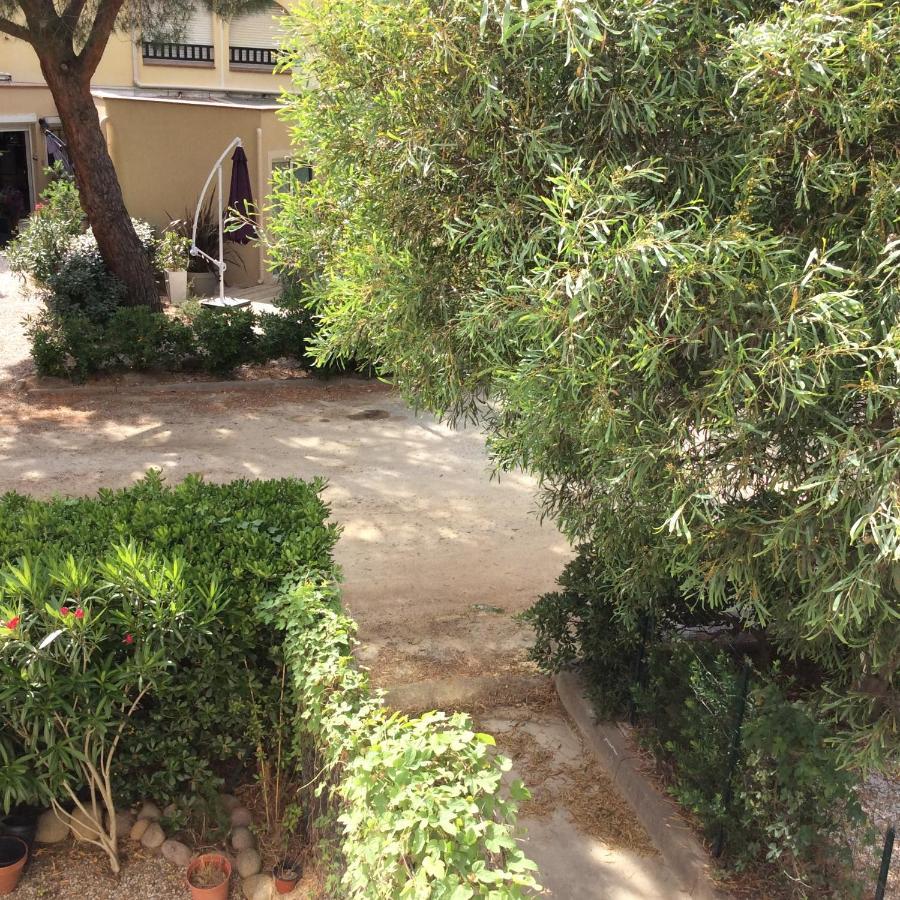 Appartement F1 Calvi A 150 Metres De La Plage Exteriör bild
